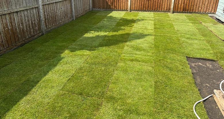 fresh grass laid in garden
