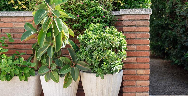 Cosmetic brick wall in garden with plant pots framing